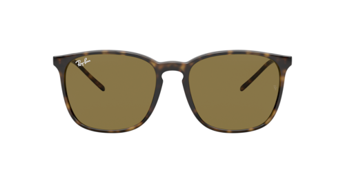 Ray-Ban - RB4387, Hellhavana/Light Havana/Black, Größe: Large