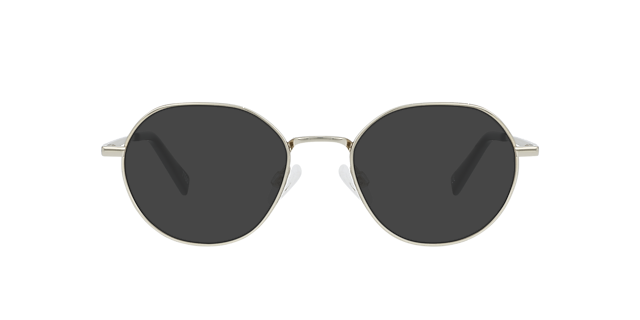 Logan Platinum Silver Titanium TitanEyeglass Frames von B24, mit getönten Gläsern