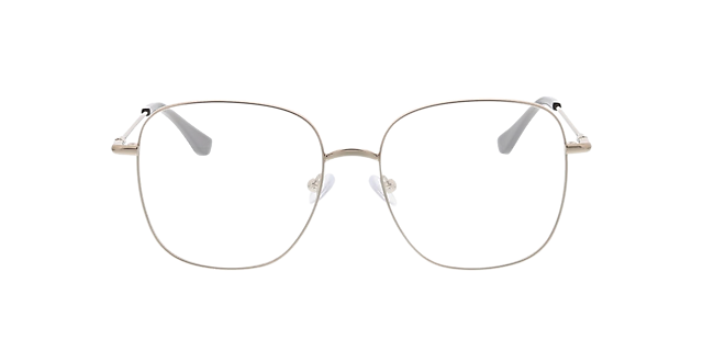Schwerin Zilver MetaalEyeglass Frames van B24, Vooraanzicht