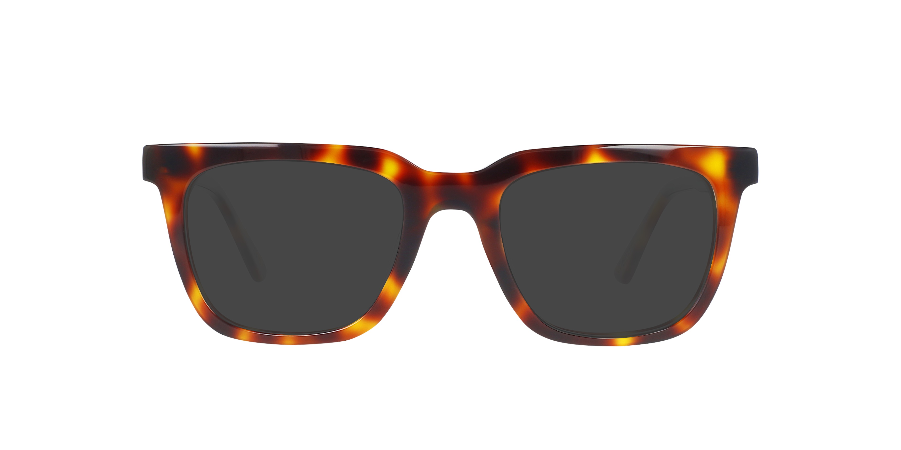 Vince Havana Cigars AcetaatEyeglass Frames van B24, met getinte lenzen