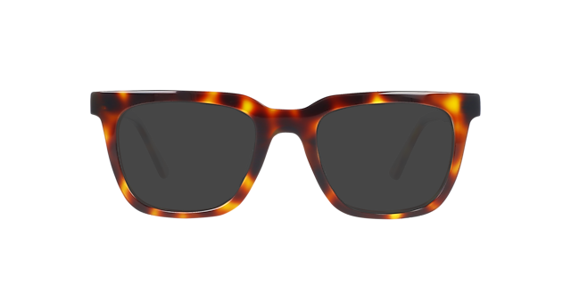 Vince Havana Cigars AcetaatEyeglass Frames van B24, met getinte lenzen