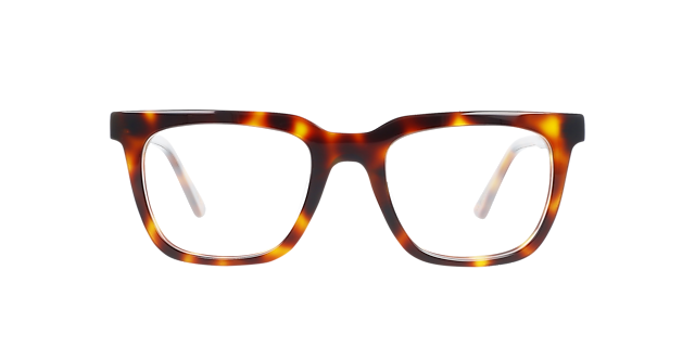Vince Havana Cigars AcetaatEyeglass Frames van B24, Vooraanzicht