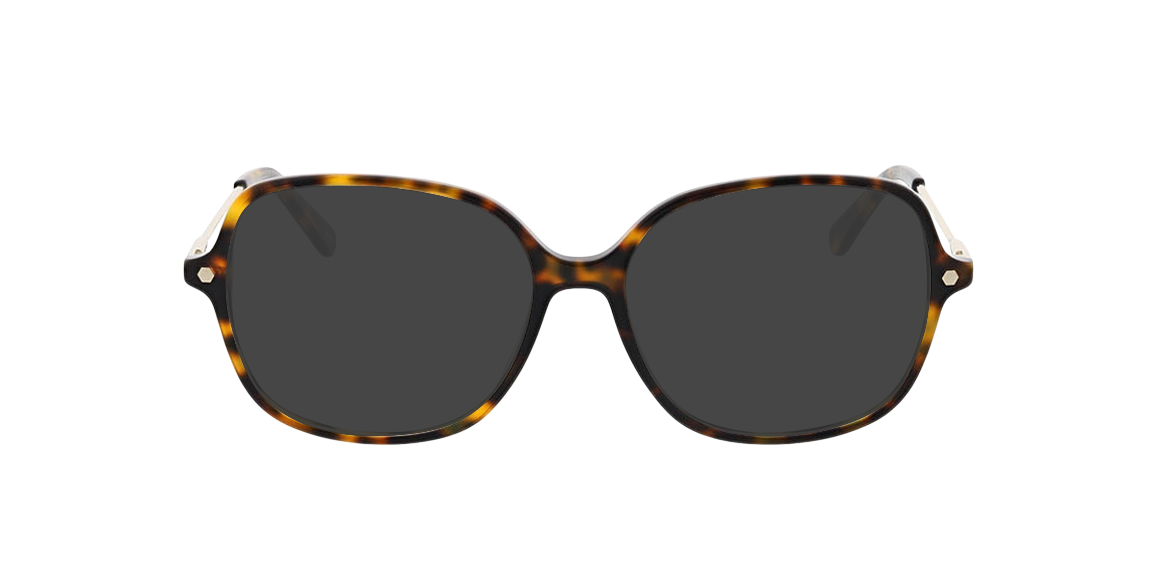 Linz Dunkelhavana AcetatEyeglass Frames von B24, mit getönten Gläsern