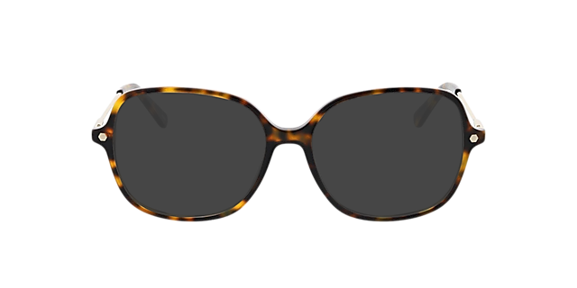 Linz Dunkelhavana AcetatEyeglass Frames von B24, mit getönten Gläsern