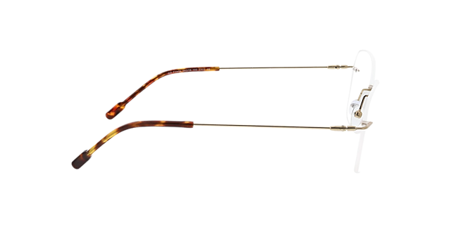 Frieda Goud MetaalEyeglass Frames van B24, Zijaanzicht