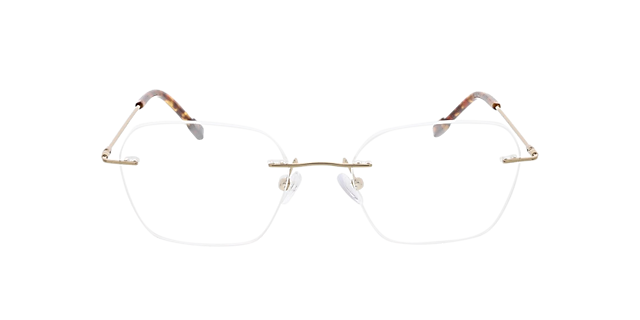 Frieda Goud MetaalEyeglass Frames van B24, Vooraanzicht