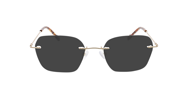 Frieda Goud MetaalEyeglass Frames van B24, met getinte lenzen