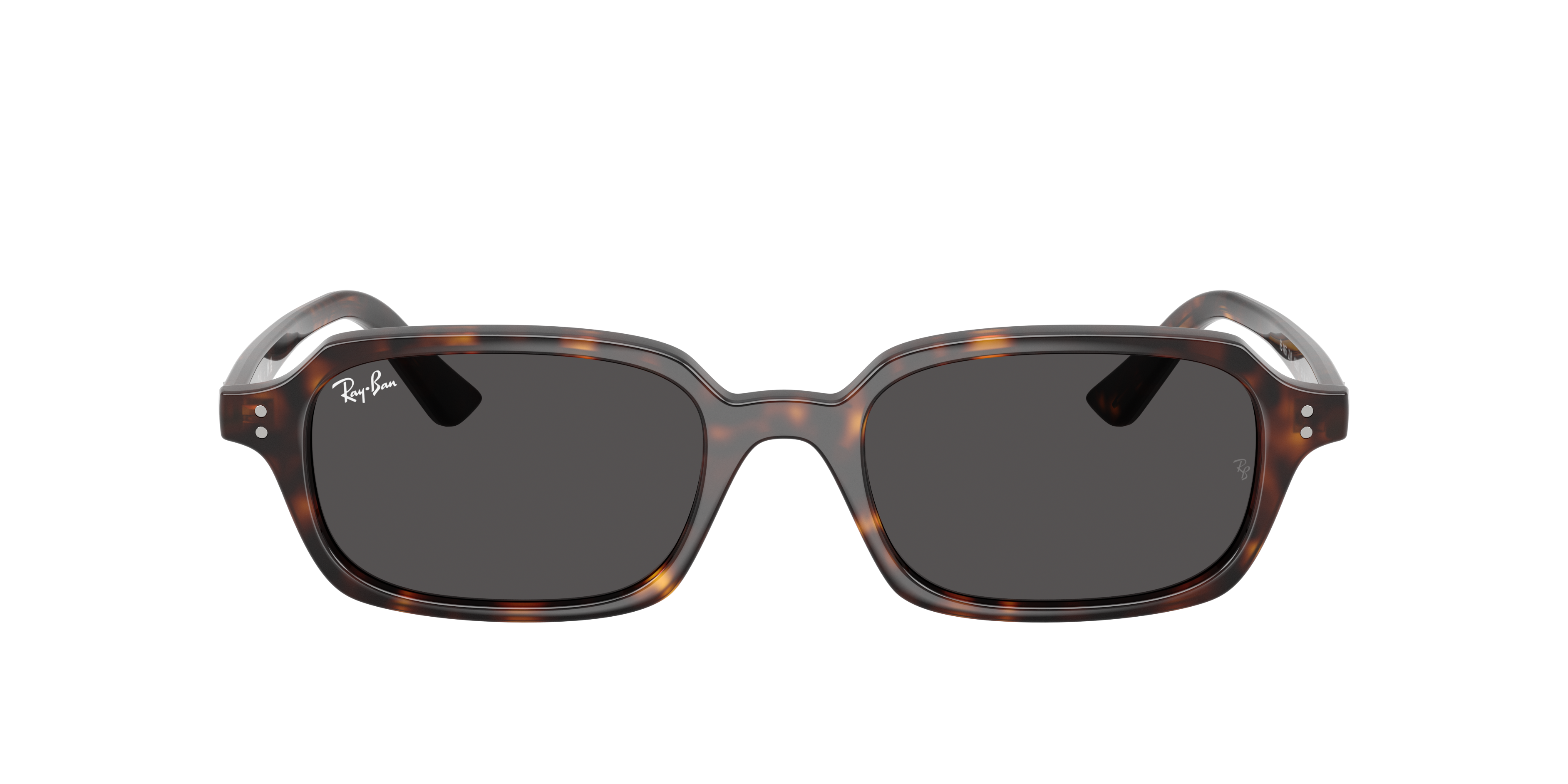 Ray-Ban 8056262454039 Havana/rosty Brown/black, Size: Large