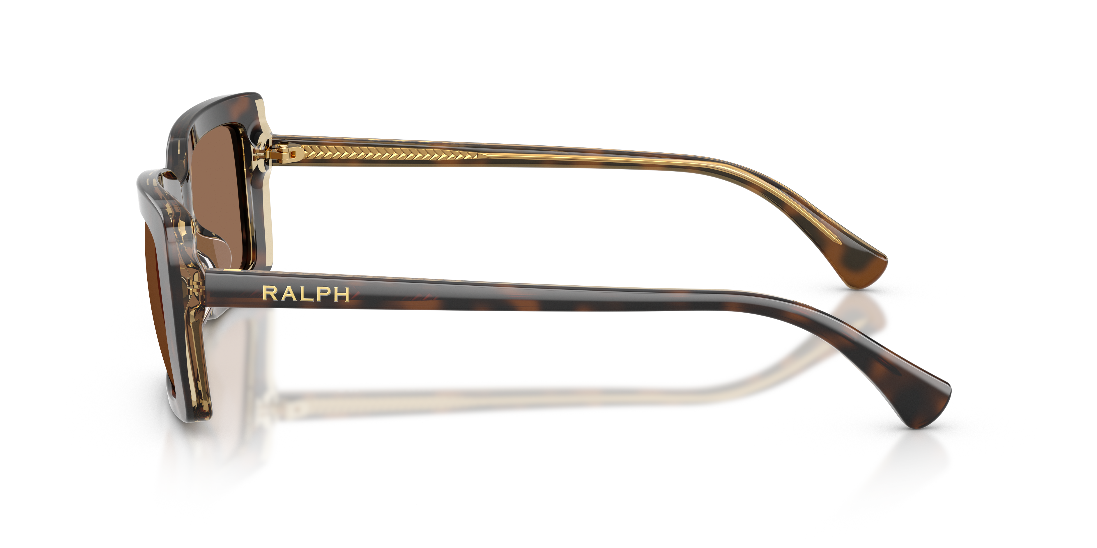 RA5342U Dark Havana On Transparent AcetatSunglass Frames von B24, Seitenansicht