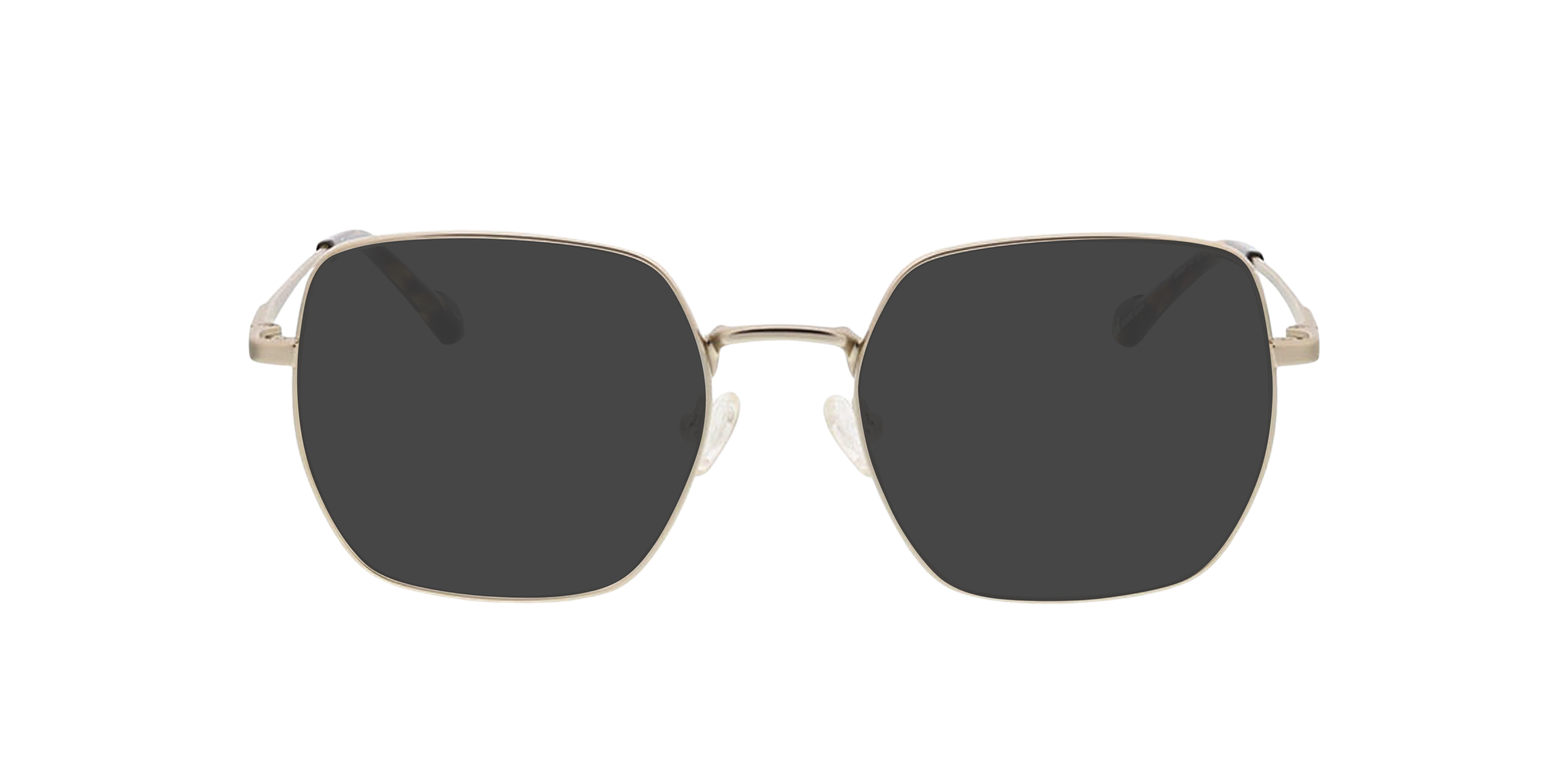 Bangkok Goud MetaalEyeglass Frames van B24, met getinte lenzen