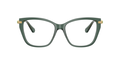 Swarovski - SK2060, Damen, Transparent Light Green/Havana, Größe: Large