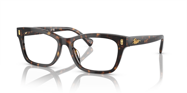 RA7154U Glanzend donker Havana AcetaatEyeglass Frames van B24, Hoekweergave