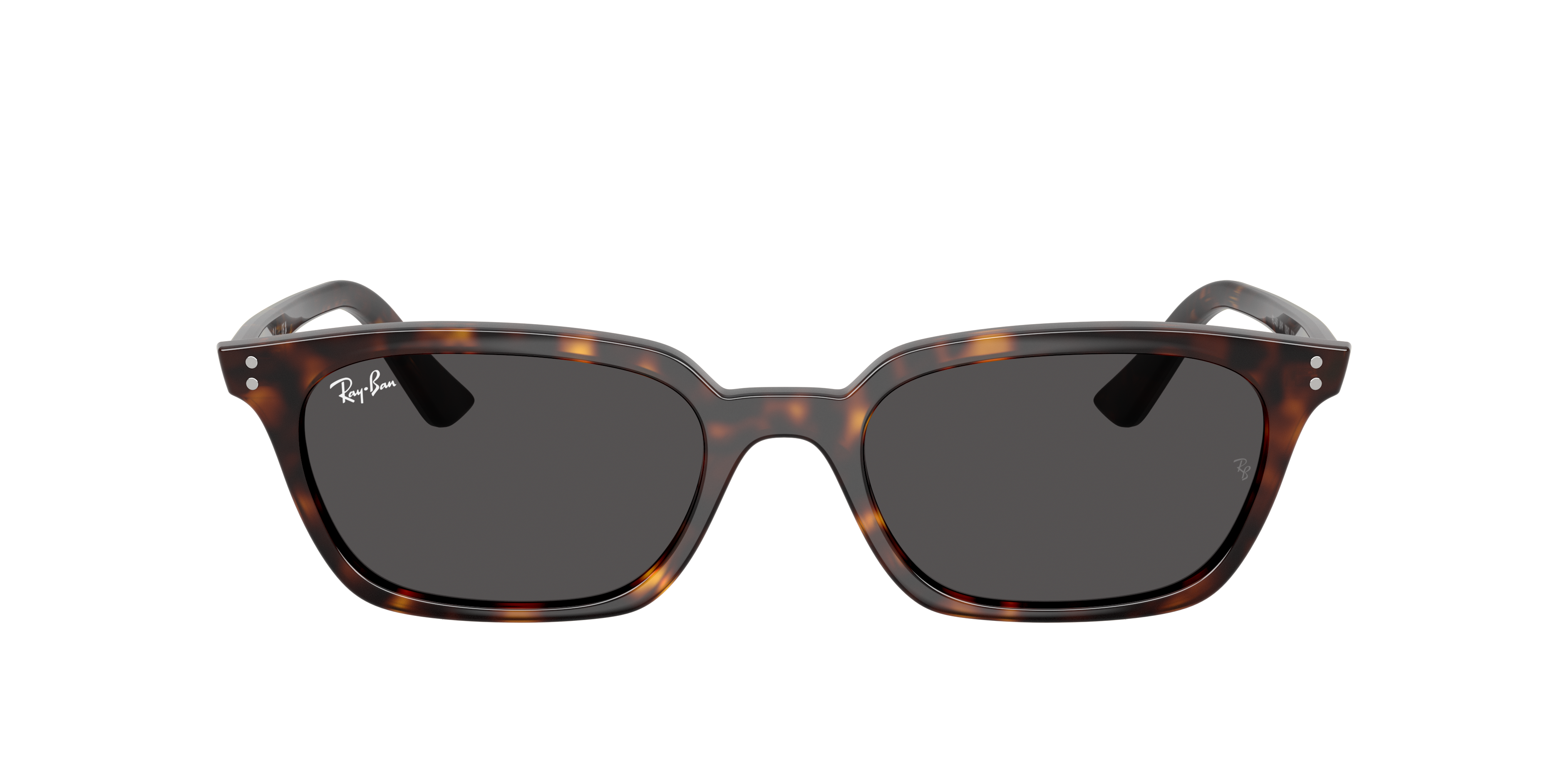 Ray-Ban 8056262453933 Havana/black/cloudy Warm White, Size: Durchschnittlich