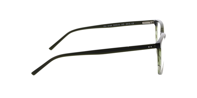 Hawkins Gradient Green Horn & Green AcetatEyeglass Frames von B24, Seitenansicht