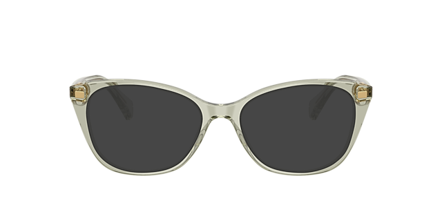 RA7146 Transparant groen AcetaatEyeglass Frames van B24, met getinte lenzen