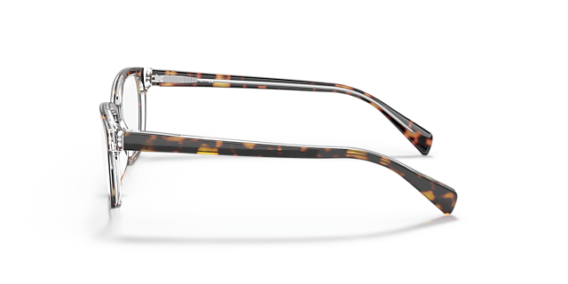 RB1591 Havana op transparant AcetaatEyeglass Frames van B24, Zijaanzicht