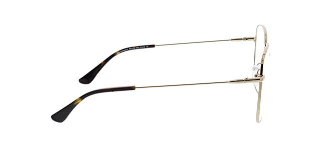 Schwerin Goud MetaalEyeglass Frames van B24, Zijaanzicht