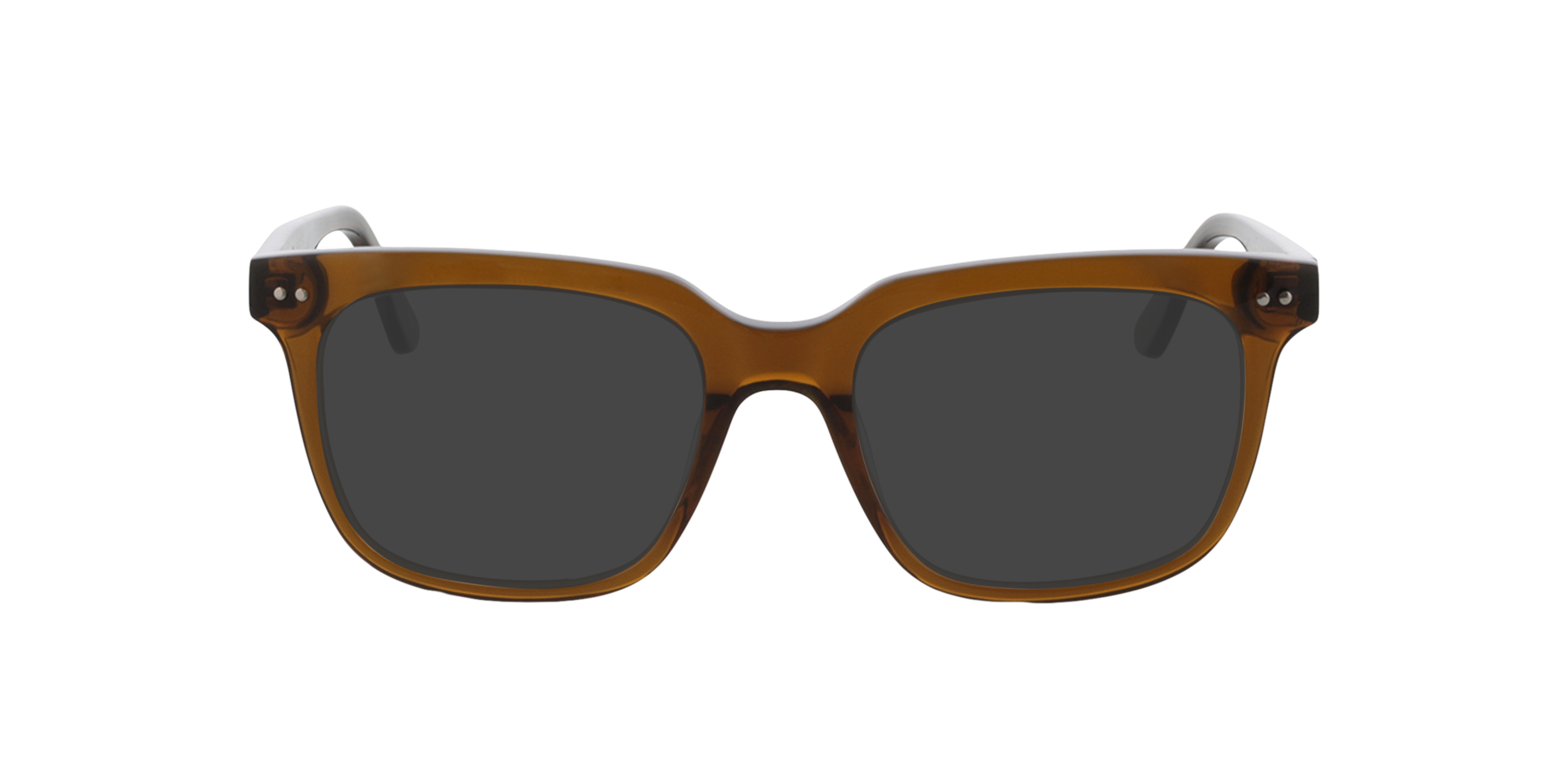 Dixon Kristal Bruin AcetaatEyeglass Frames van B24, met getinte lenzen