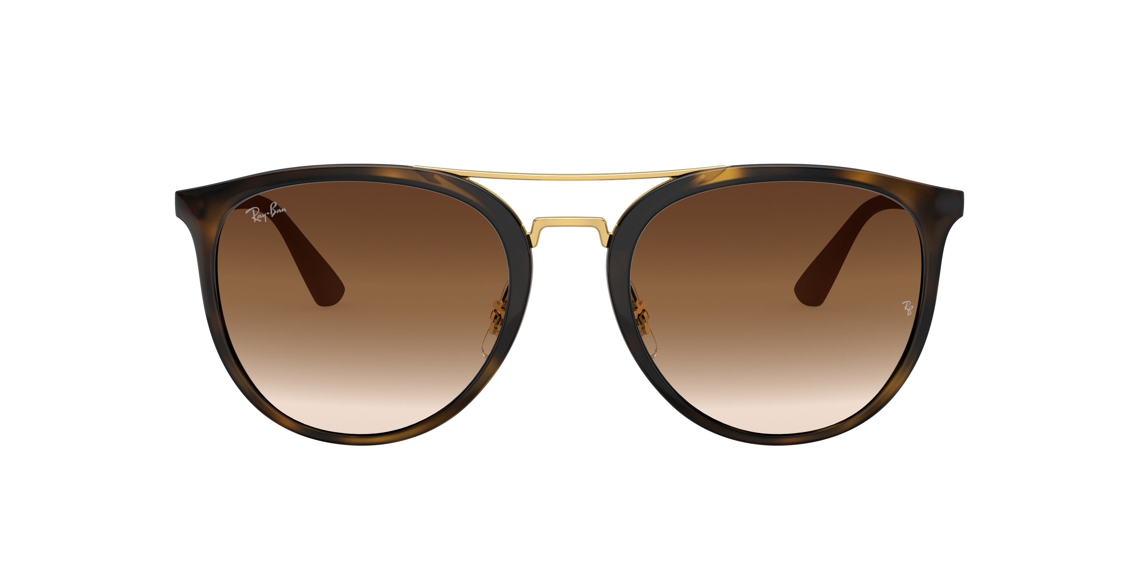 RB4285 Hellhavana KunststoffSunglass Frames von B24, mit getönten Gläsern