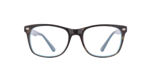 Charlie Temple - Charlie CT, Damen, Tortoise/Blue De France/Jet Black/Vintage Tortoise, Größe: Large