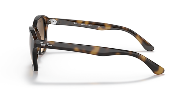 RB4203 Licht Havana KunststofSunglass Frames van B24, Zijaanzicht