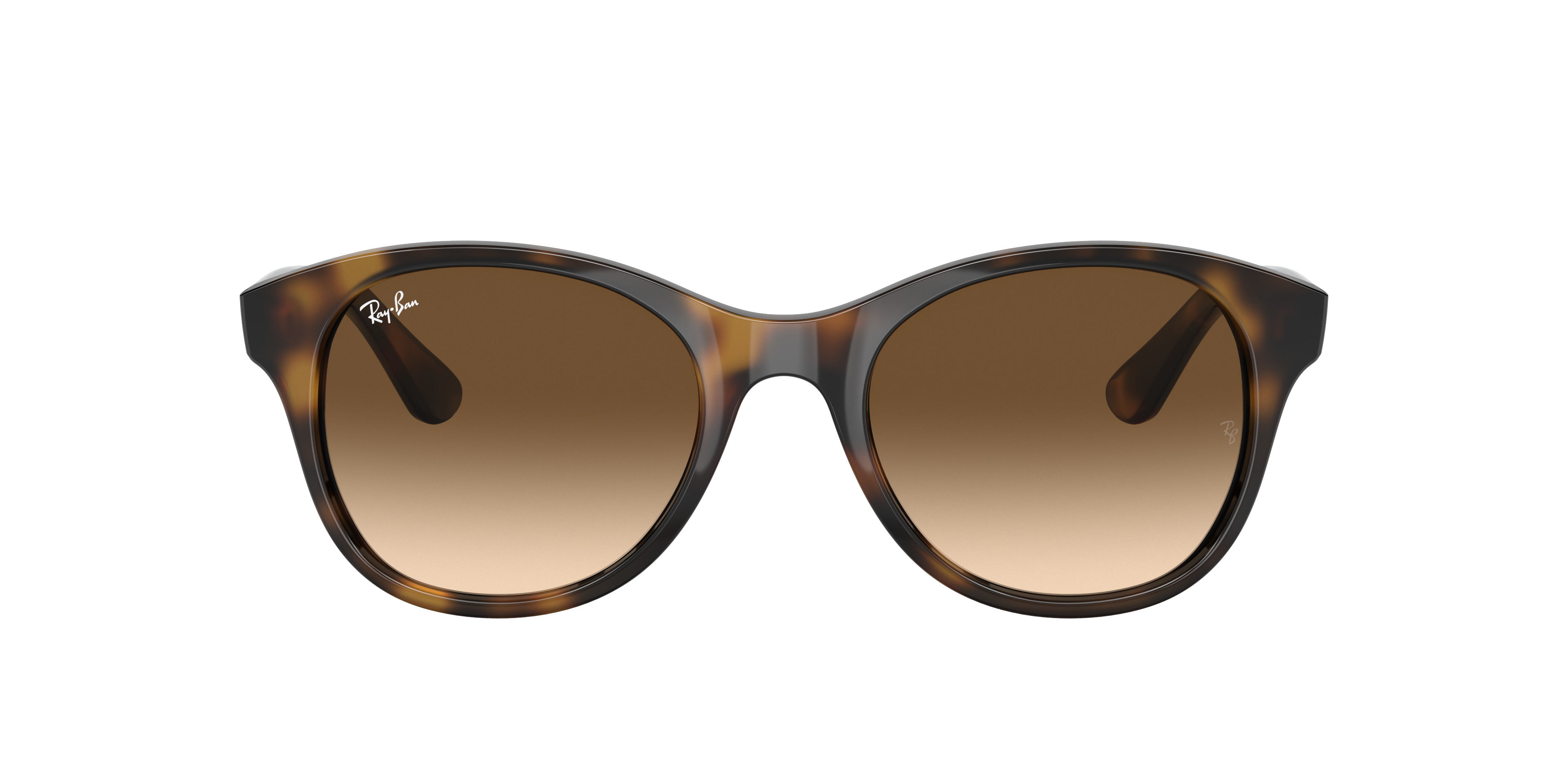 RB4203 Hellhavana KunststoffSunglass Frames von B24, mit getönten Gläsern
