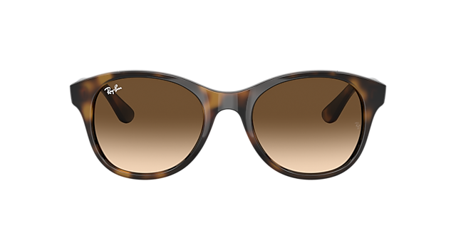 RB4203 Licht Havana KunststofSunglass Frames van B24, met getinte lenzen