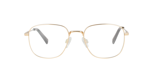 Charlie Temple - Rider, Light Gold Titanium/Gold Titanium/Black Titanium, Größe: Small