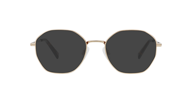 Flan Rose Gold Titanium TitaanEyeglass Frames van B24, met getinte lenzen