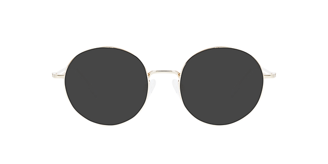 Hampton CT Platinum Silver Titanium TitaanEyeglass Frames van B24, met getinte lenzen