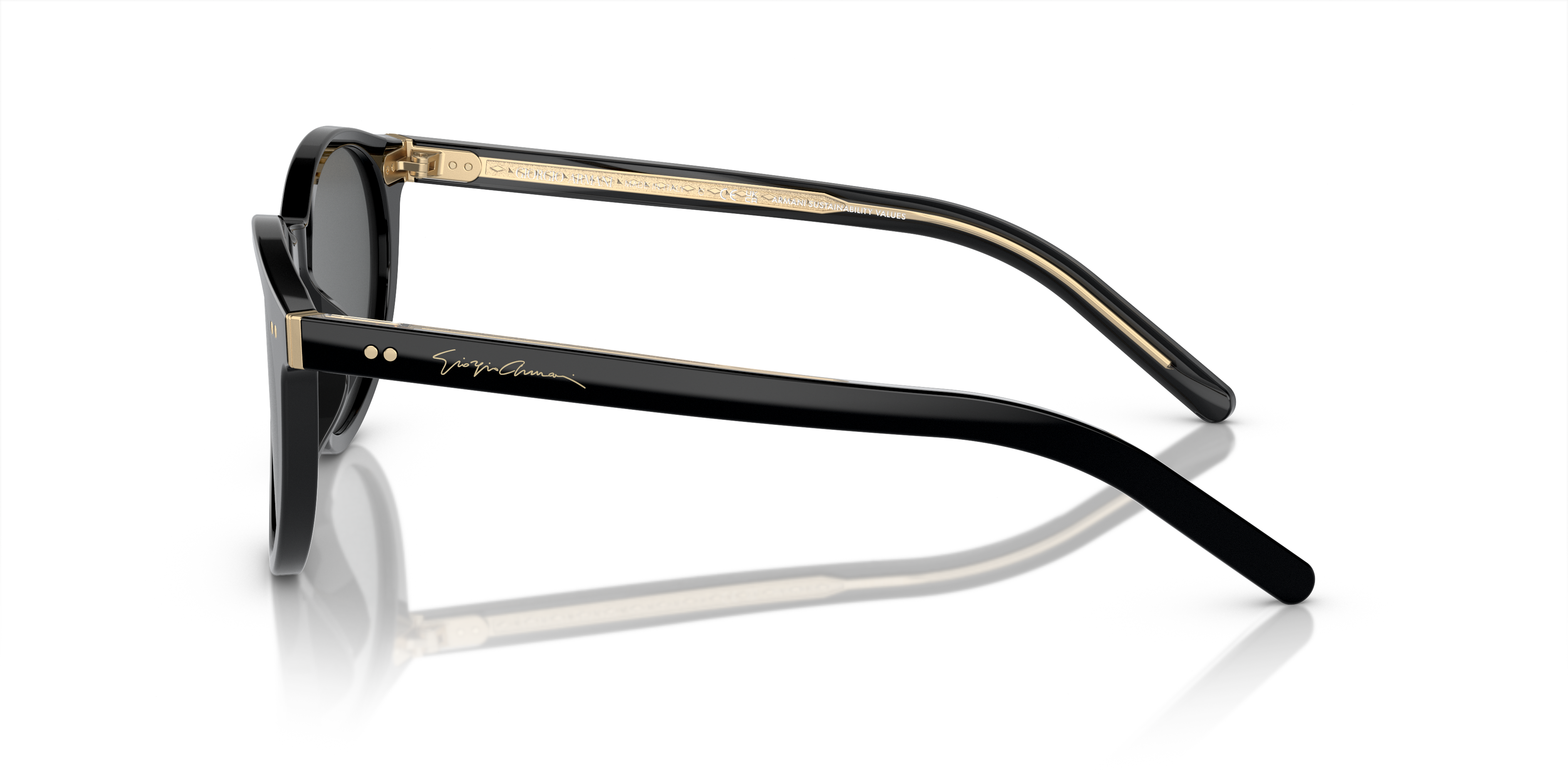 AR8199U Zwart AcetaatSunglass Frames van B24, Zijaanzicht