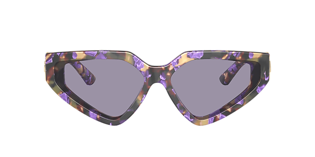 DG4469 Havana Blue Pearl AcetaatSunglass Frames van B24, met getinte lenzen