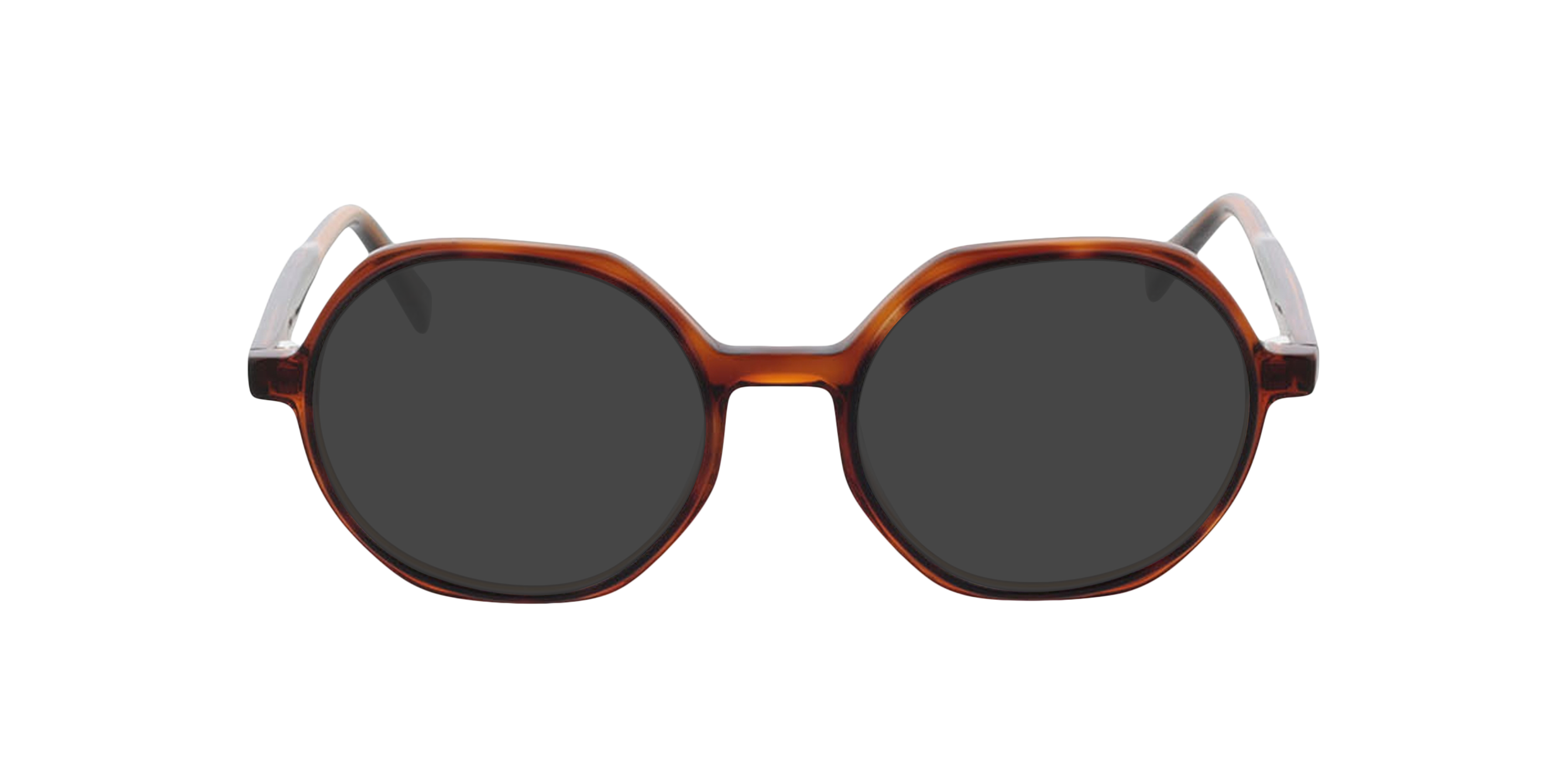 Toledo Tweelaags Havana  &  bruin AcetaatEyeglass Frames van B24, met getinte lenzen