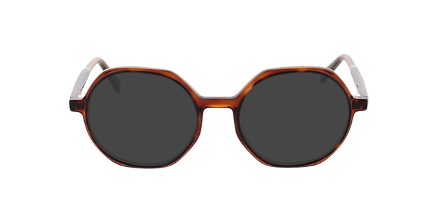 Toledo Tweelaags Havana  &  bruin AcetaatEyeglass Frames van B24, met getinte lenzen