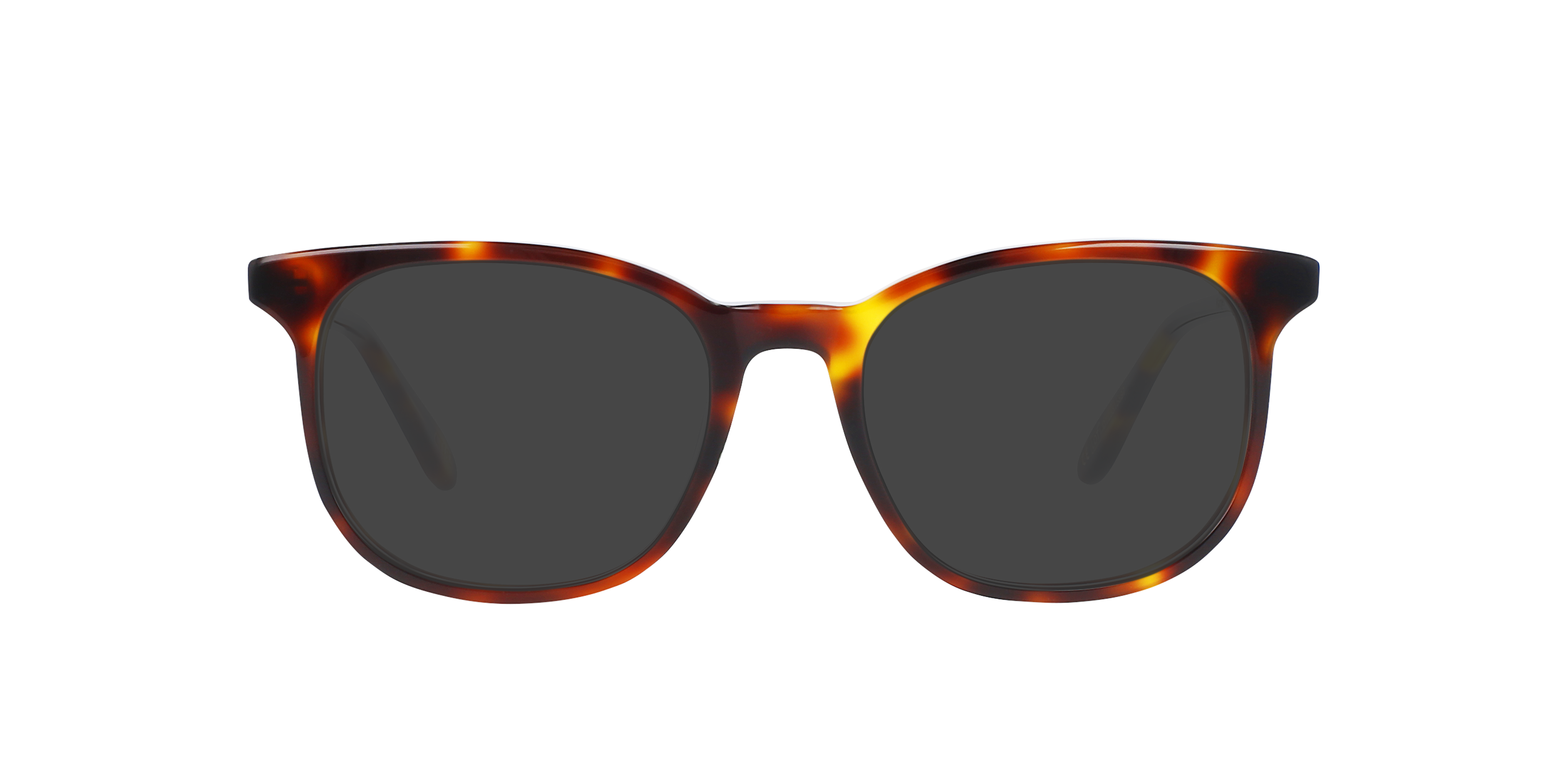 Harper Havana Cigar AcetaatEyeglass Frames van B24, met getinte lenzen