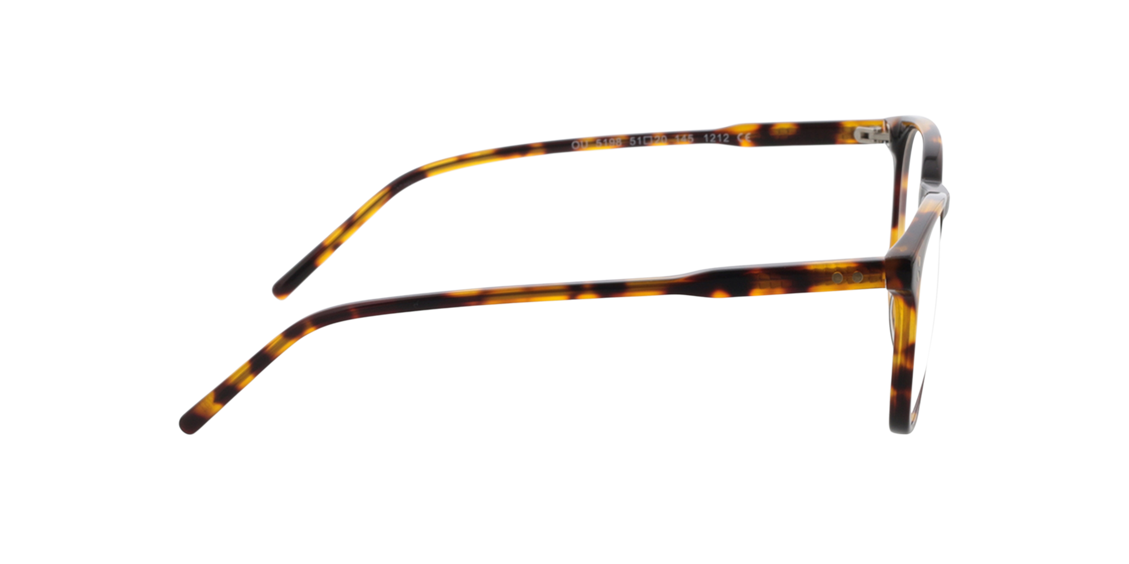 Chelsea Havana AcetatEyeglass Frames von B24, Seitenansicht