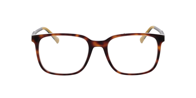 Phoenix Havana AcetatEyeglass Frames von B24, Vorderansicht
