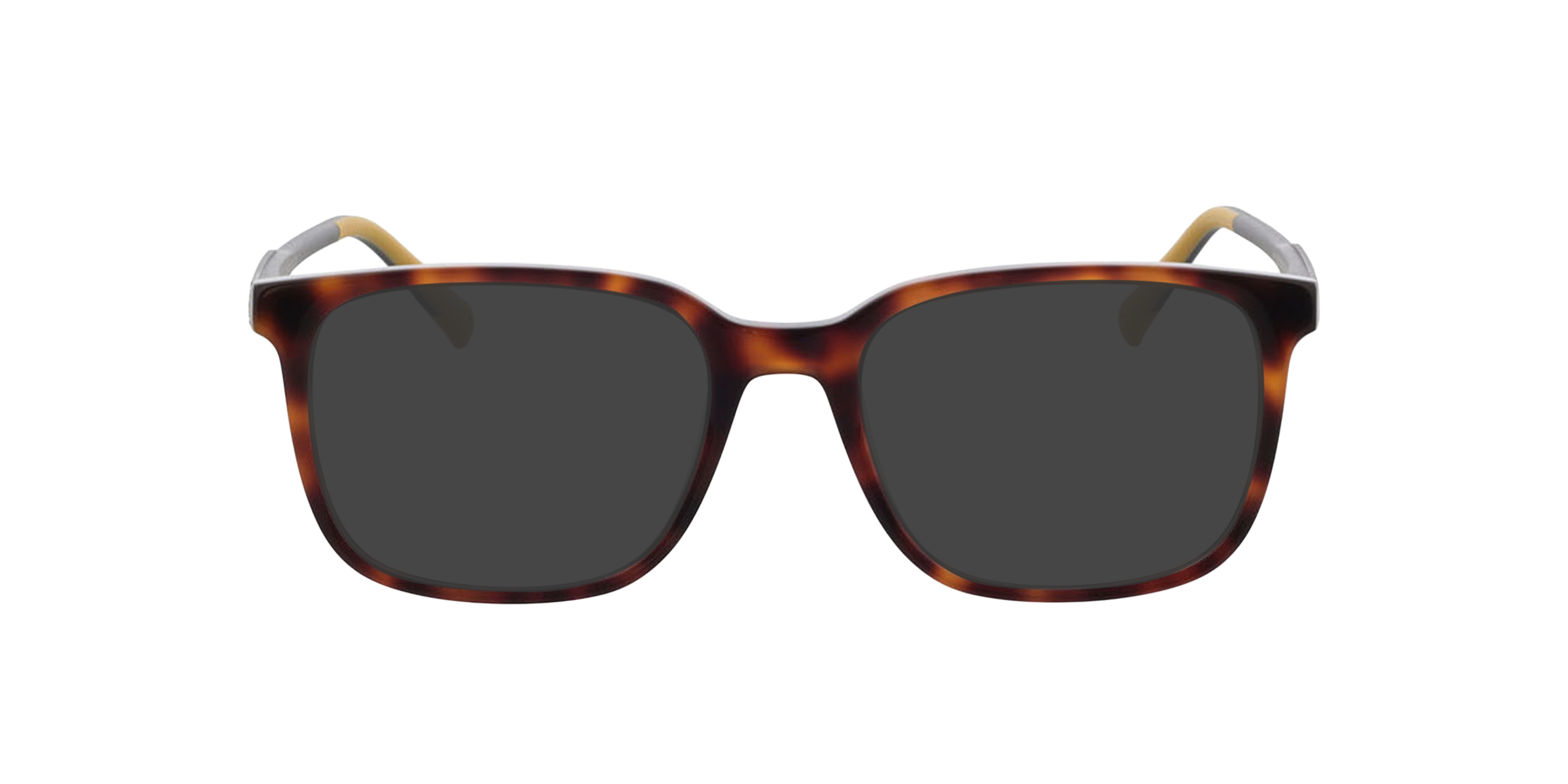 Phoenix Havana AcetatEyeglass Frames von B24, mit getönten Gläsern