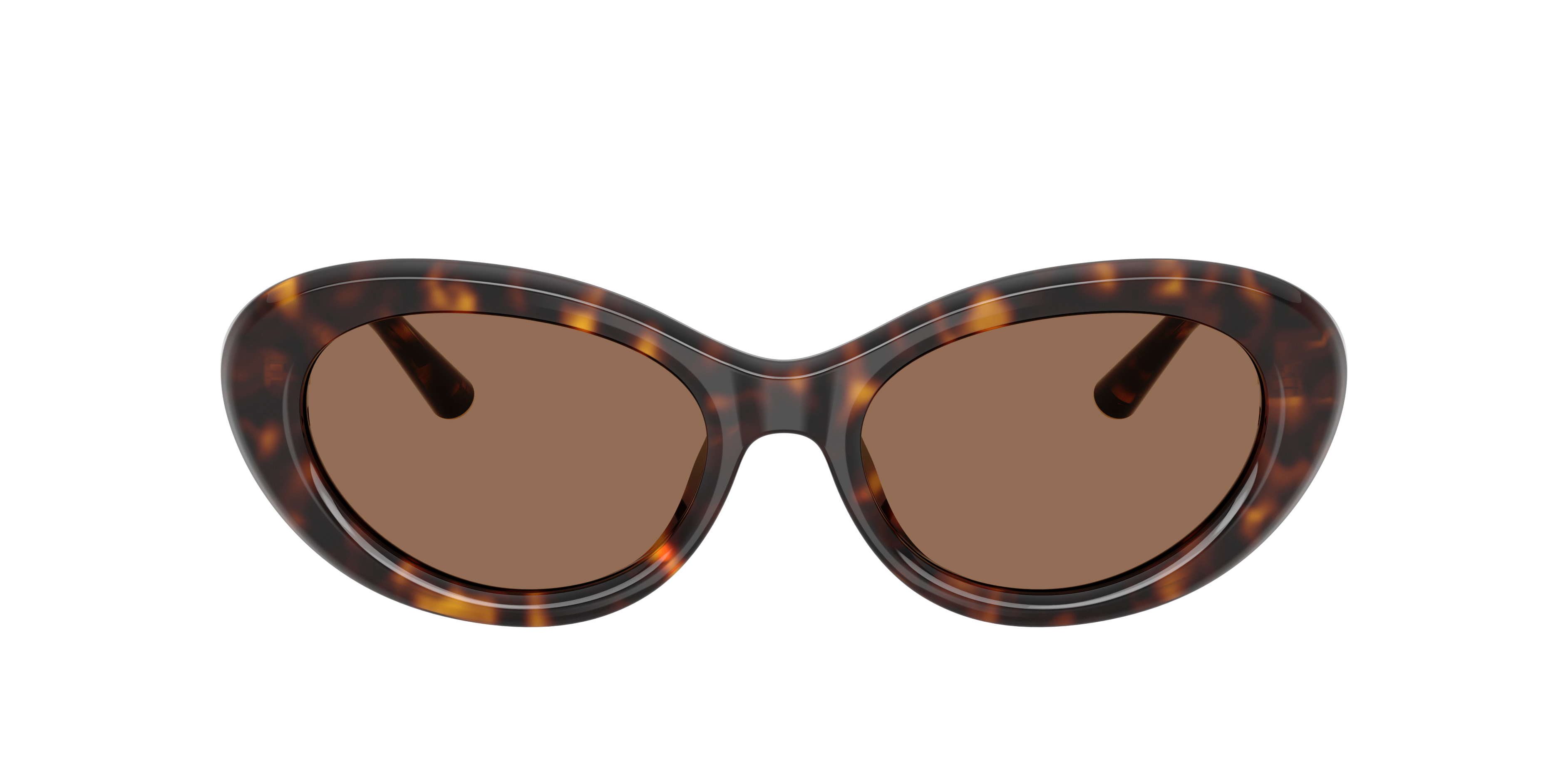 DG4519 Havana AcetaatSunglass Frames van B24, met getinte lenzen