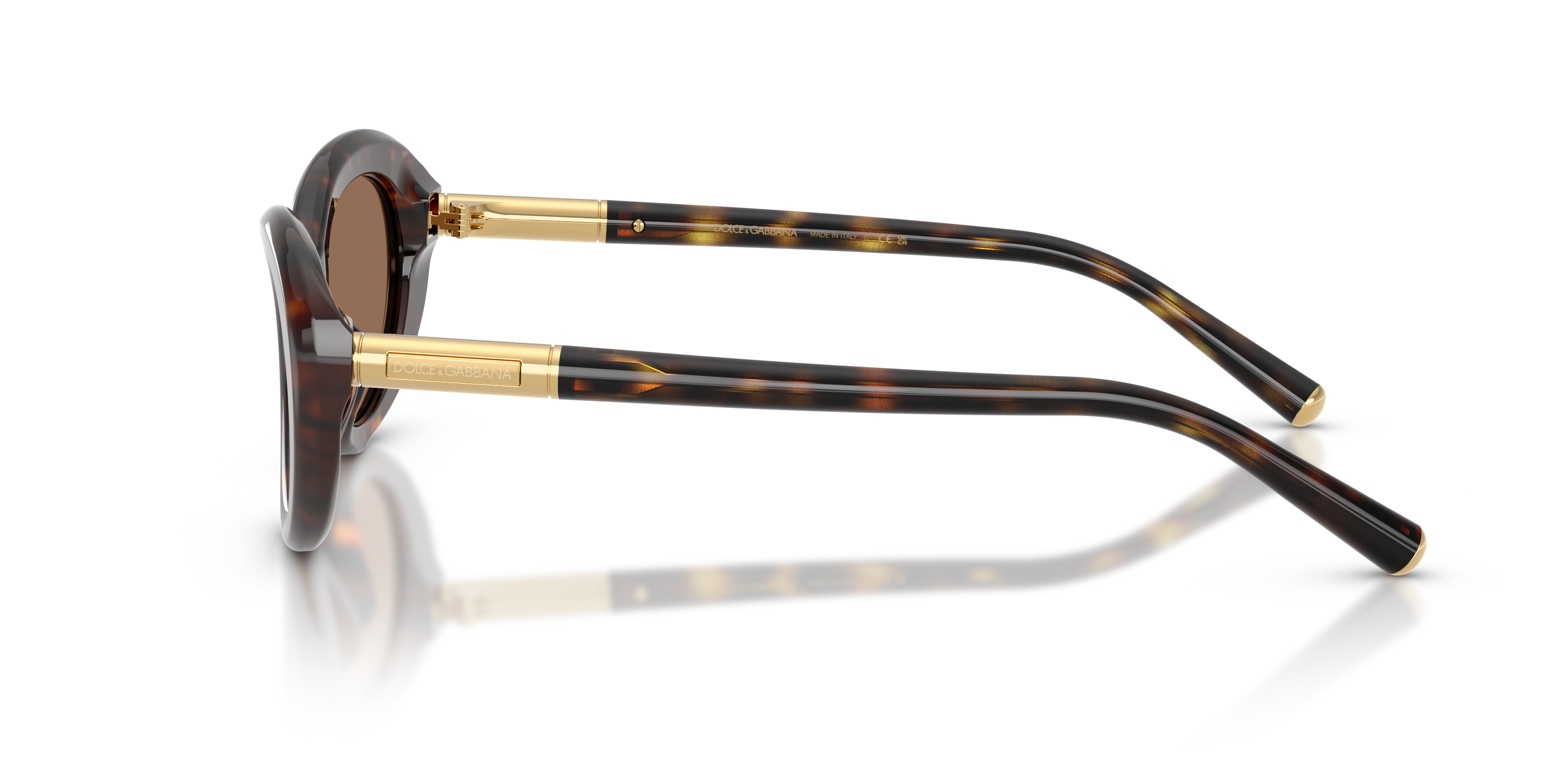 DG4519 Havana AcetaatSunglass Frames van B24, Zijaanzicht