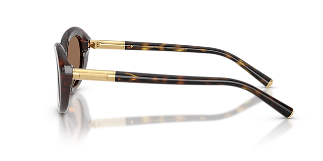 DG4519 Havana AcetatSunglass Frames von B24, Seitenansicht