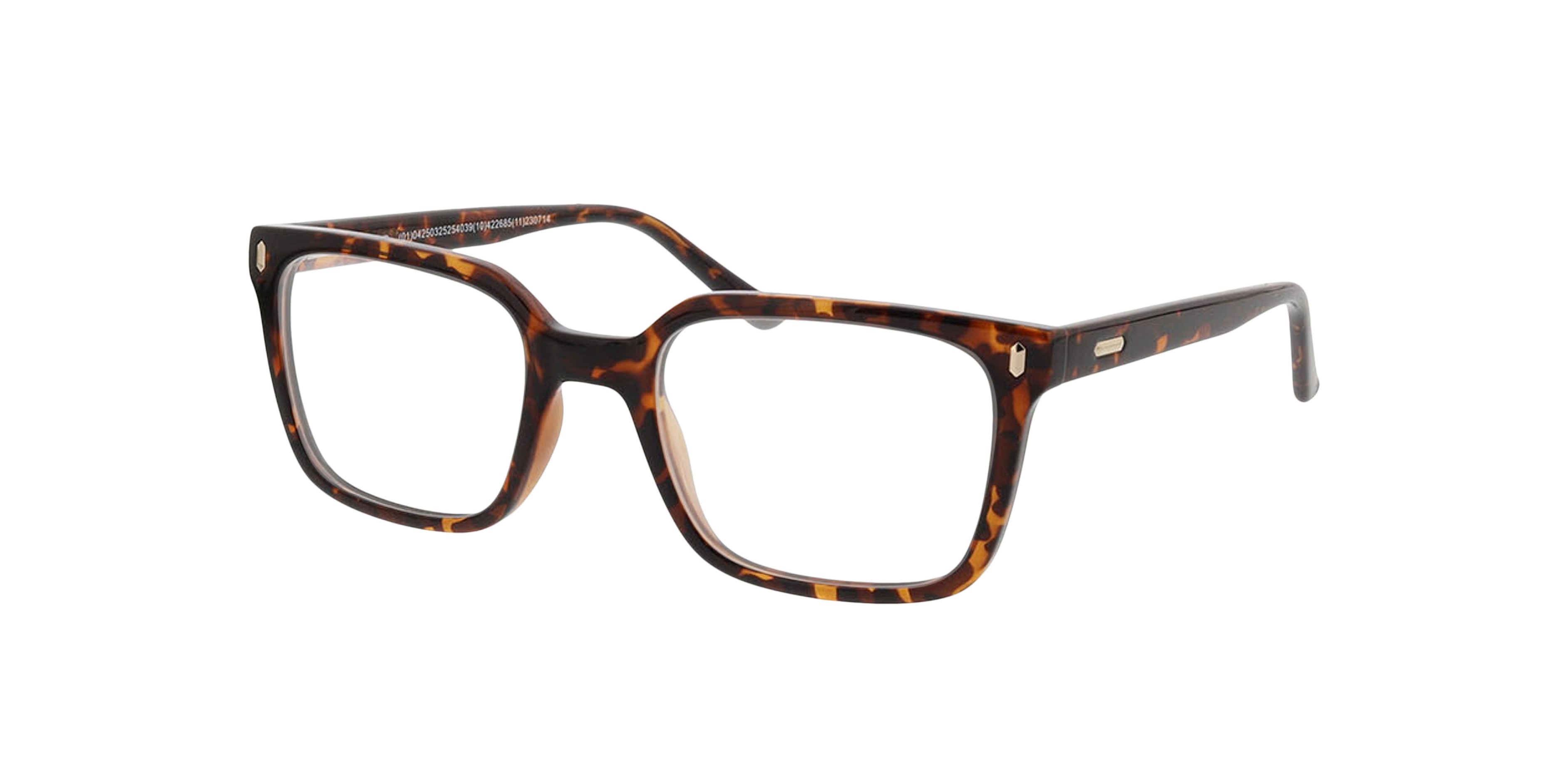 Arizona Havana KunststofEyeglass Frames van B24, Hoekweergave