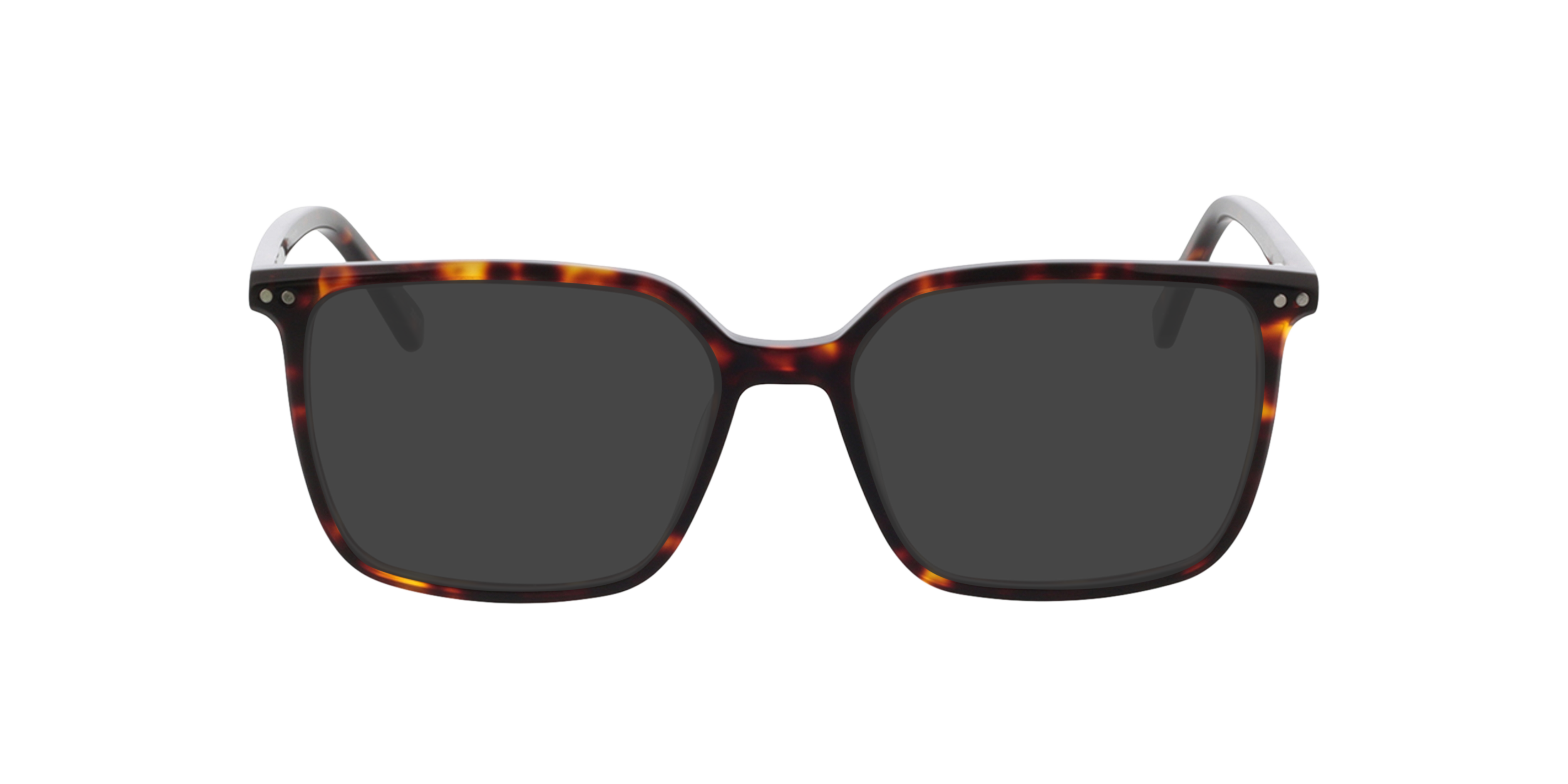 Lewis Gevlekt Havana AcetaatEyeglass Frames van B24, met getinte lenzen