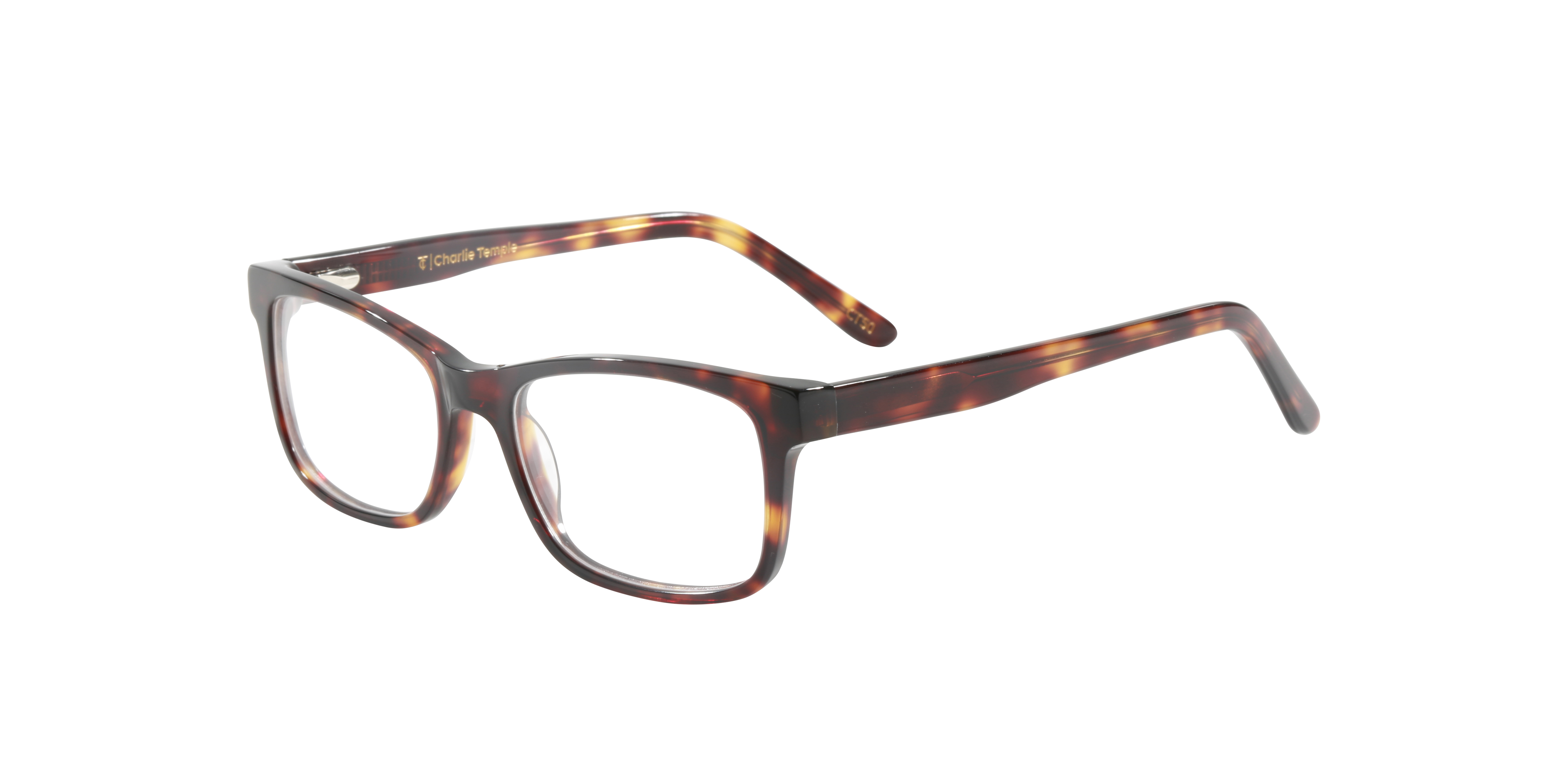 Gillian Moonlight Tortoise AcetaatEyeglass Frames van B24, Hoekweergave