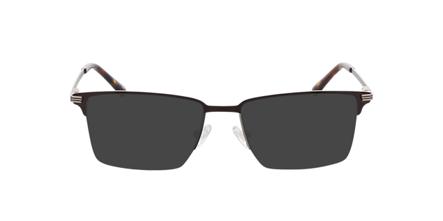 Ross Matzilver  &  bruin MetaalEyeglass Frames van B24, met getinte lenzen