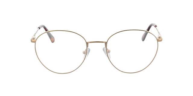 Lyon Matgoud  &  Havana MetaalEyeglass Frames van B24, Vooraanzicht