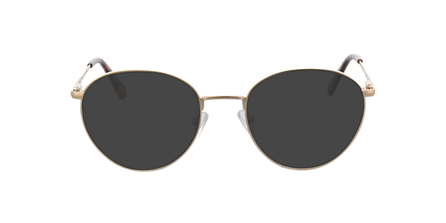 Lyon Matgoud  &  Havana MetaalEyeglass Frames van B24, met getinte lenzen