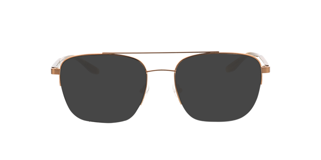 Zeus Brons  &  bruin hoorn MetaalEyeglass Frames van B24, met getinte lenzen