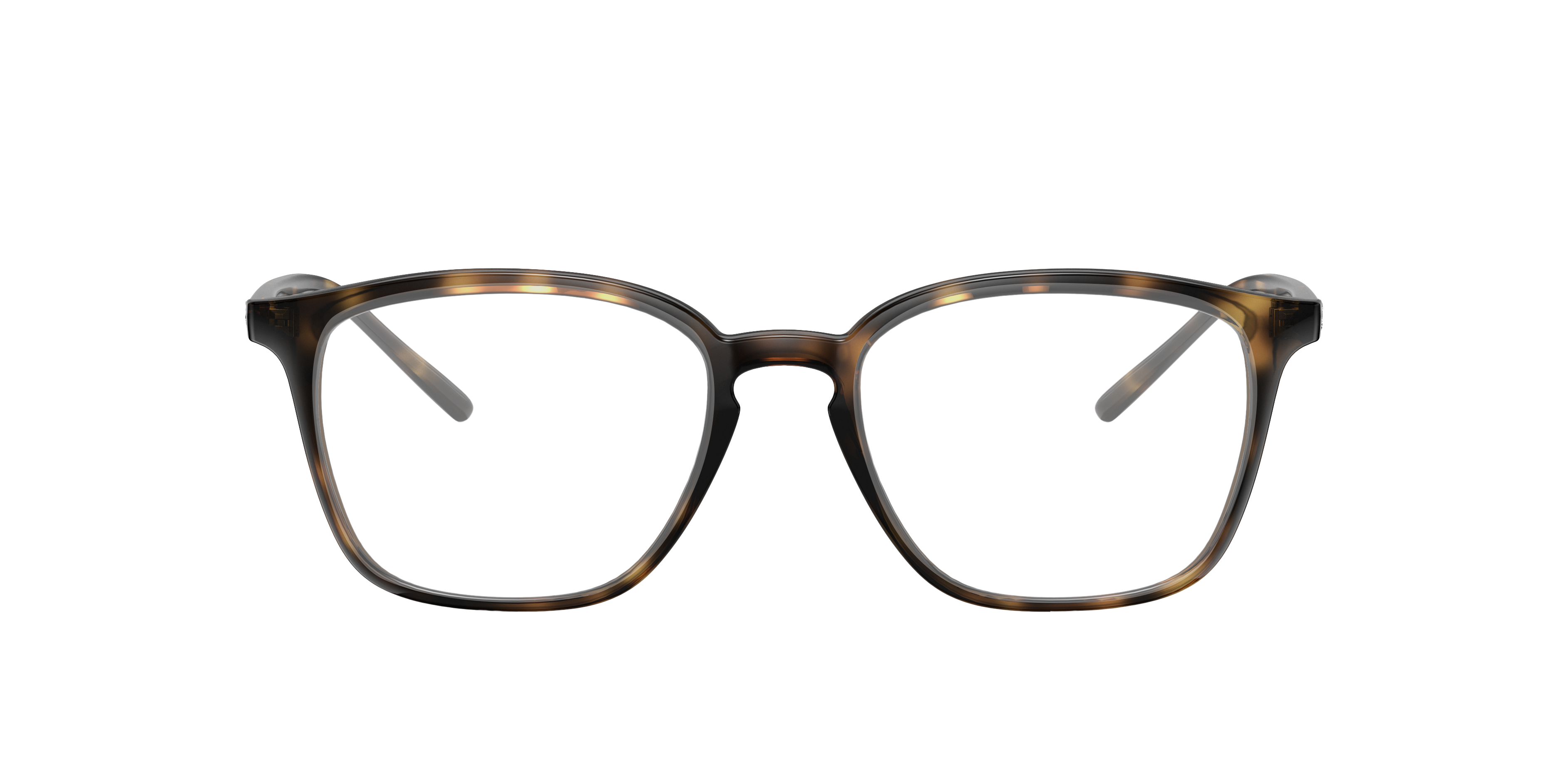 Thumbnail - Ray-Ban 8056597359993 Havana/black, Size: Small