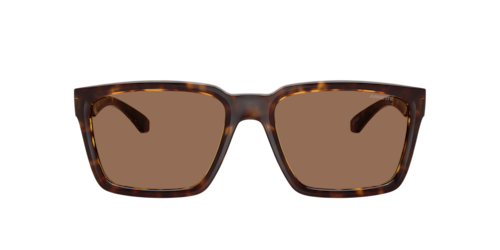 Arnette - AN4346, Herren, Dunkelhavana/Medioum Grey Top Matte/Shiny/Black Matte Top/Shiny, Größe: Large